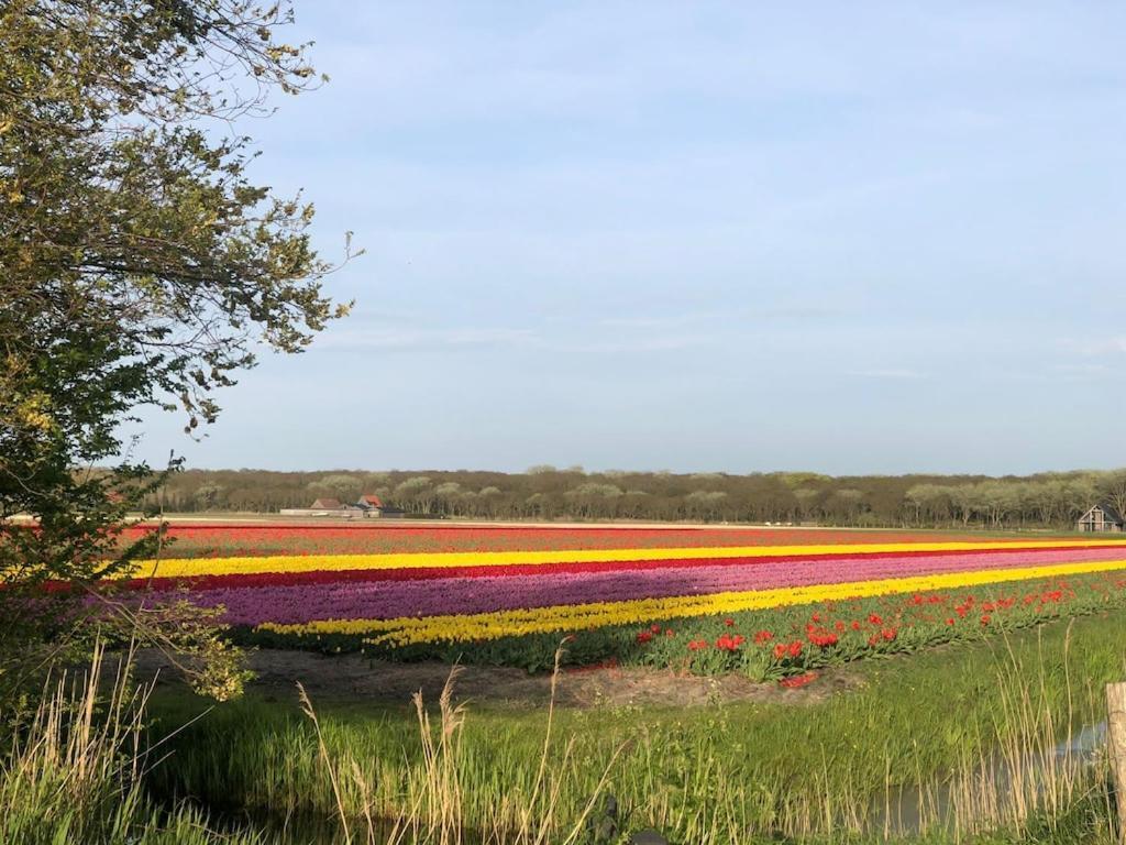 Meno Mosso Villa Sint Maartensvlotbrug Dış mekan fotoğraf